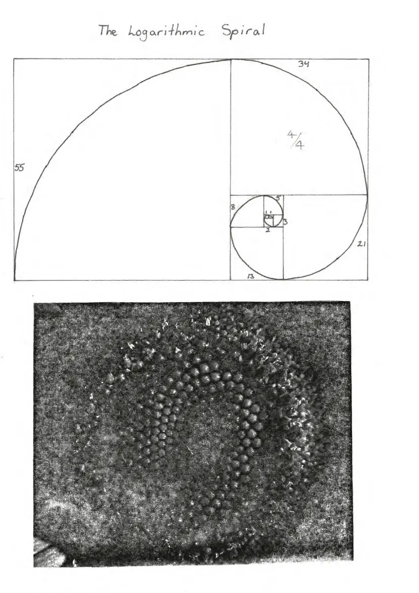 Structures and Patterns